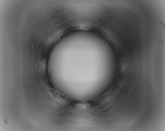 X0000101700595200807101539