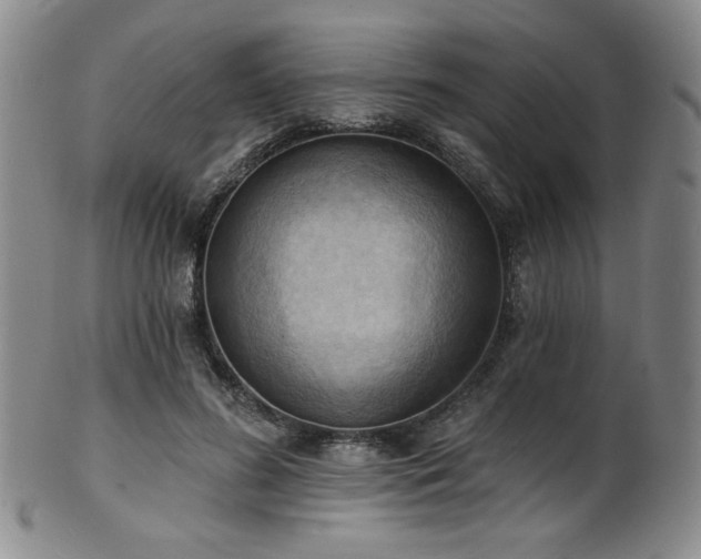 X0000101700596200807101539