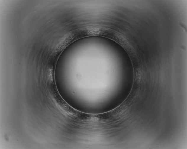 X0000101700598200807101539
