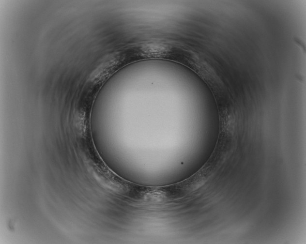 X0000101700599200807101538