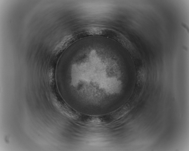 X0000101700600200807101538