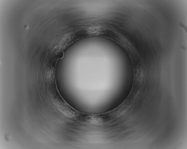 X0000101700601200807101538