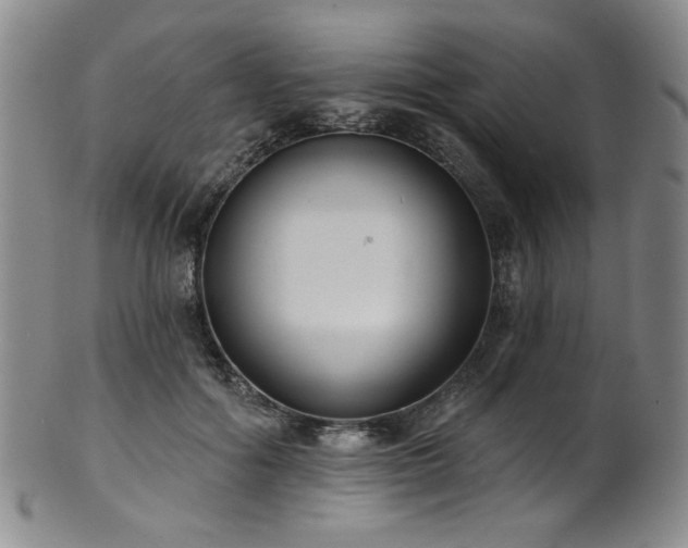 X0000101700602200807101538