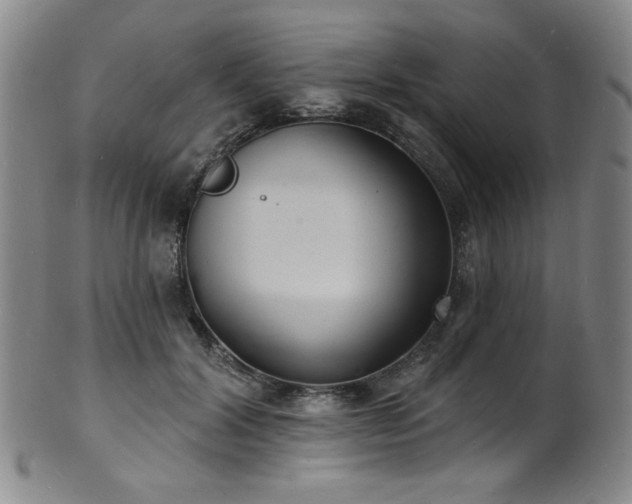 X0000101700604200807101538
