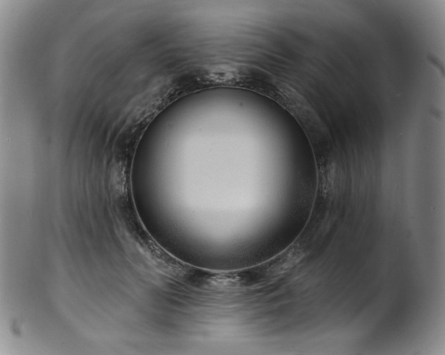 X0000101700606200807101538