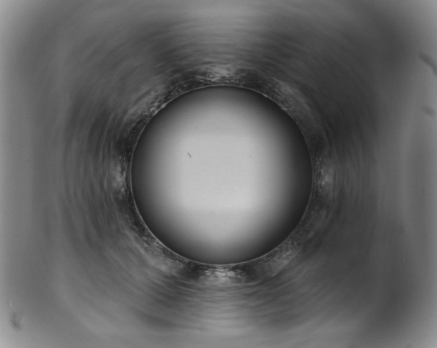 X0000101700607200807101538