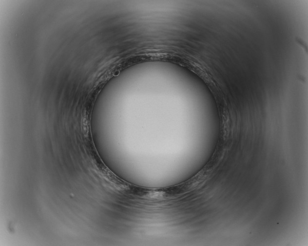 X0000101700609200807101538