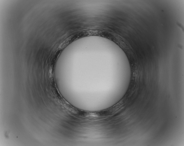 X0000101700610200807101538