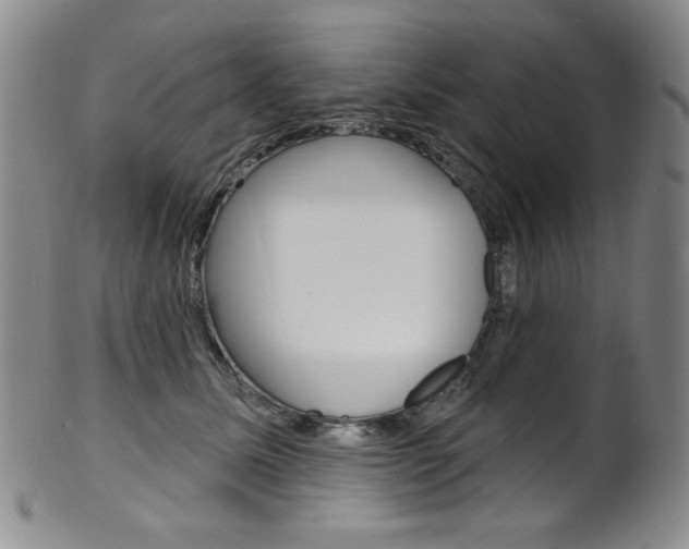X0000101700611200807101538