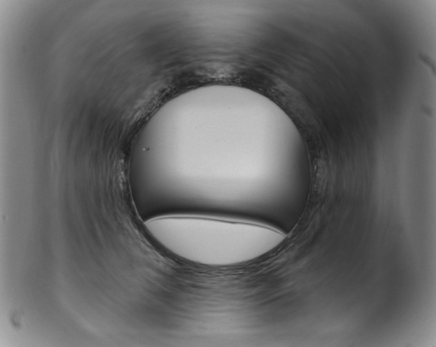 X0000101700612200807101538