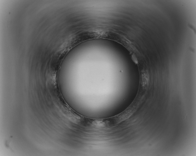 X0000101700613200807101538