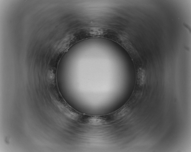 X0000101700614200807101538