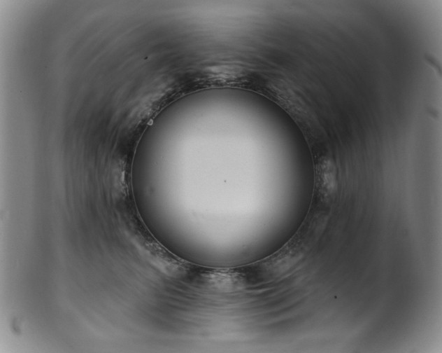 X0000101700615200807101538