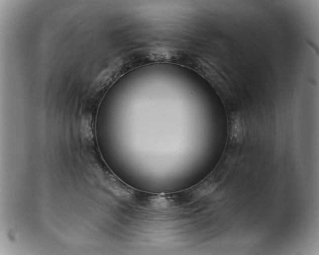 X0000101700616200807101538