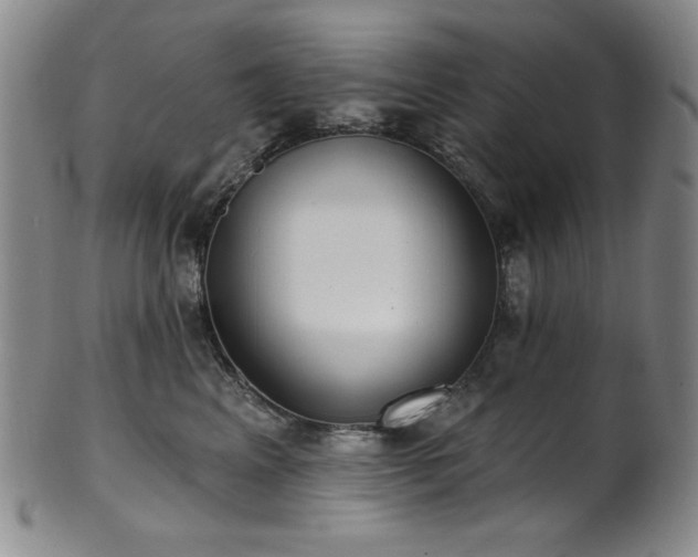 X0000101700617200807101538