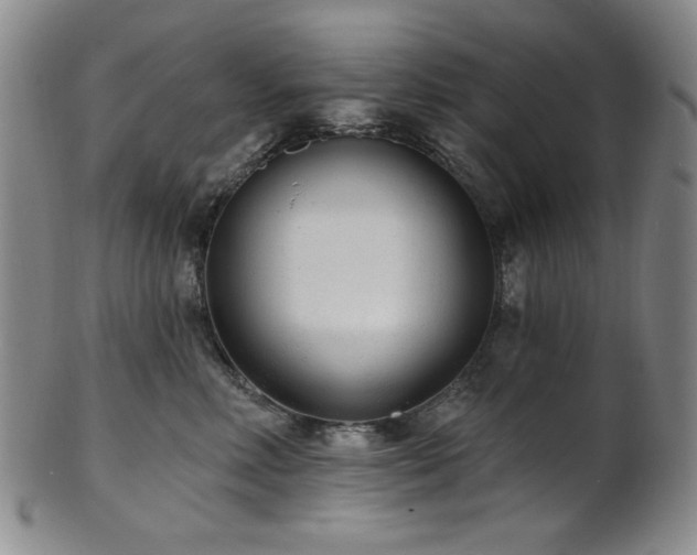 X0000101700618200807101538