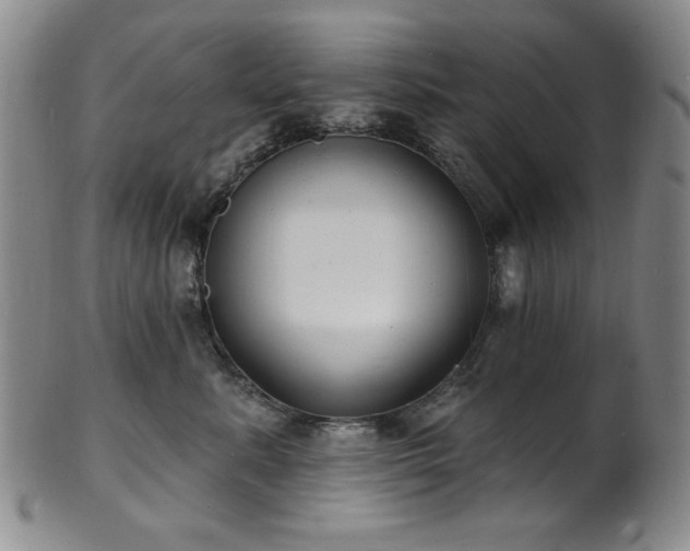 X0000101700619200807101538