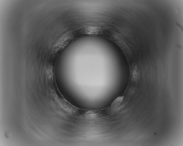 X0000101700620200807101538