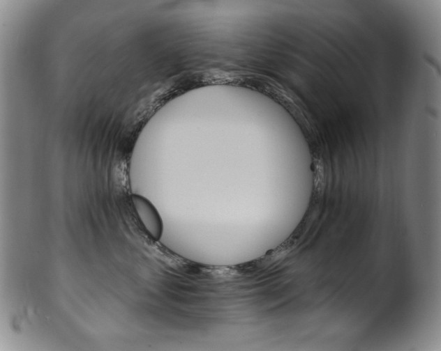 X0000101700621200807101538
