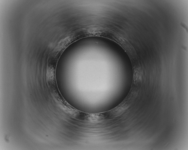 X0000101700623200807101538