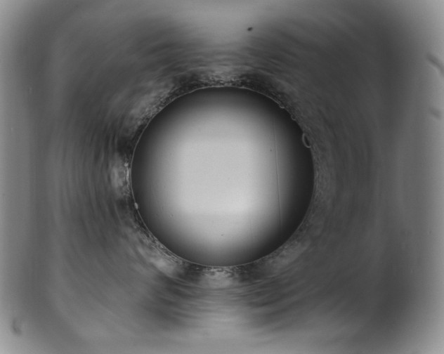 X0000101700624200807101538