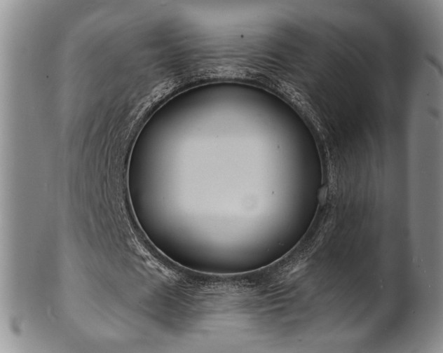 X0000101700625200807101537