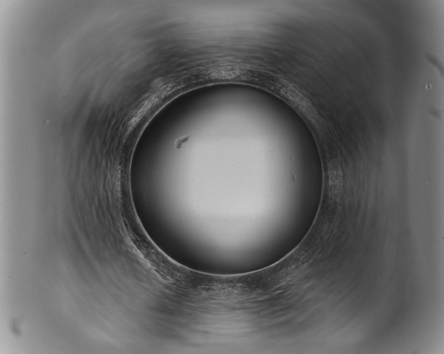 X0000101700626200807101537