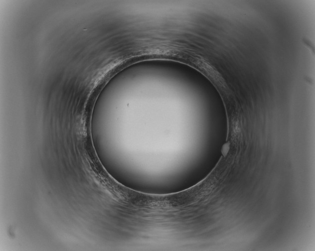 X0000101700628200807101537