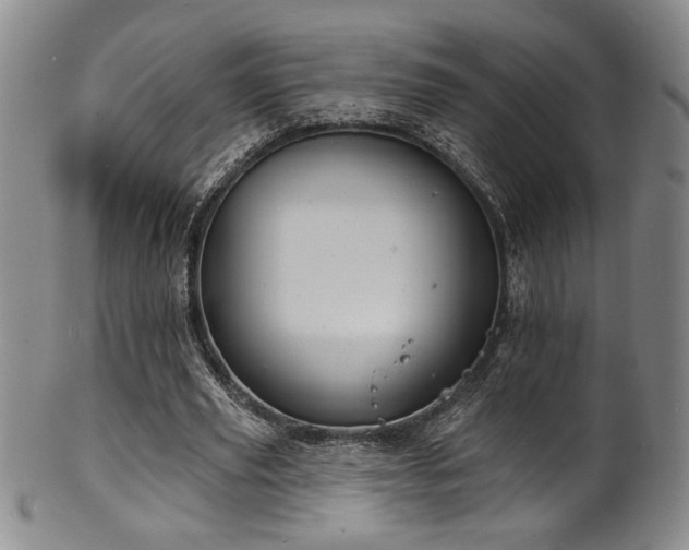 X0000101700629200807101537
