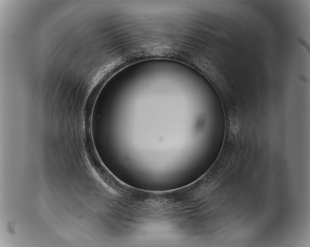 X0000101700630200807101537