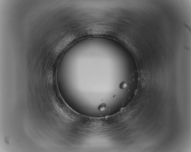 X0000101700631200807101537