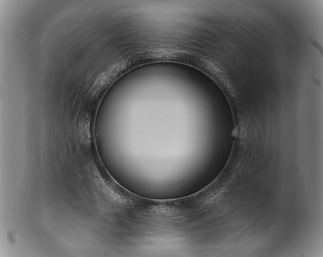 X0000101700633200807101538