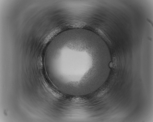 X0000101700634200807101538