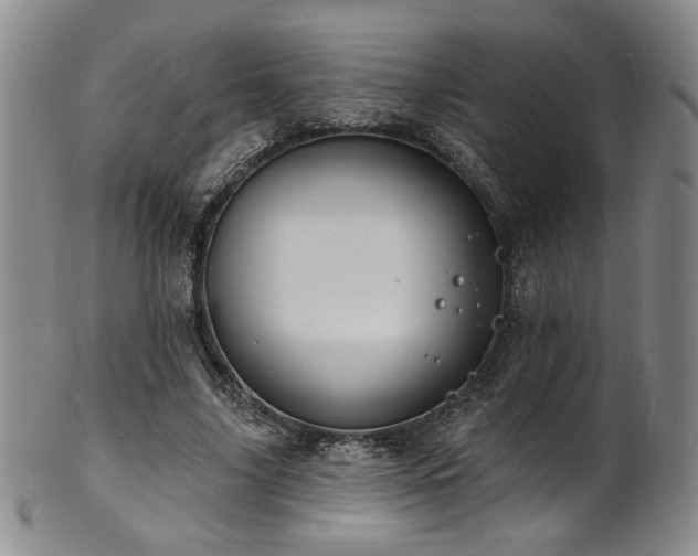 X0000101700635200807101538