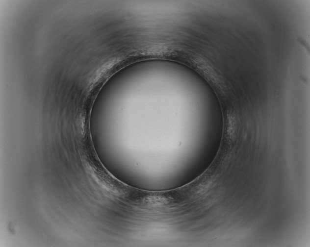 X0000101700636200807101538