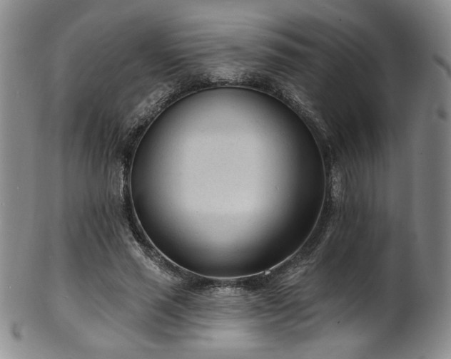 X0000101700637200807101538