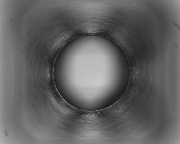 X0000101700639200807101538