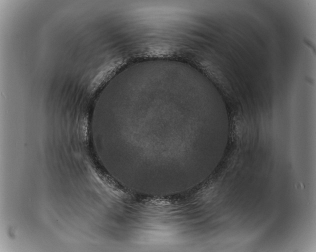 X0000101700640200807101538