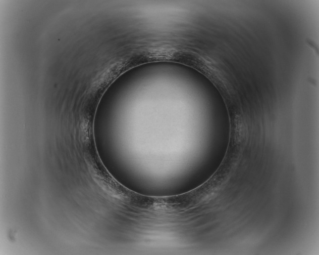 X0000101700641200807101538