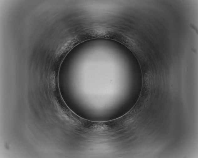 X0000101700642200807101538