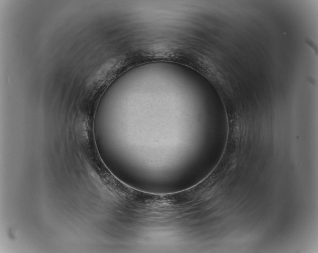 X0000101700643200807101538