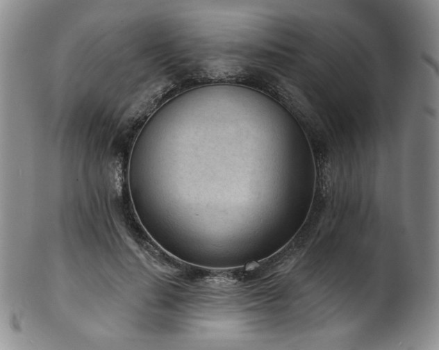 X0000101700644200807101538