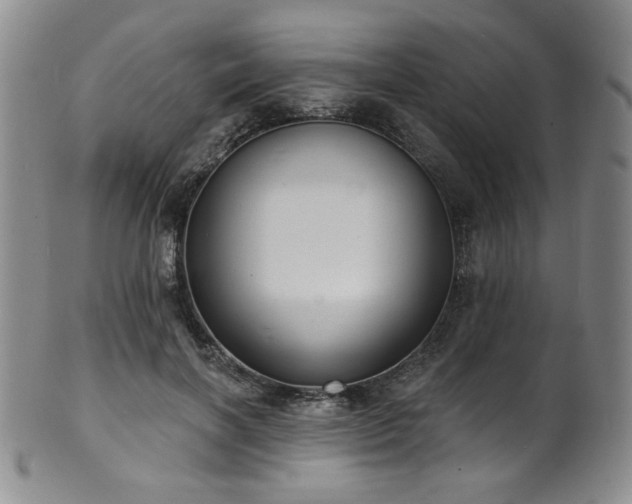 X0000101700646200807101538