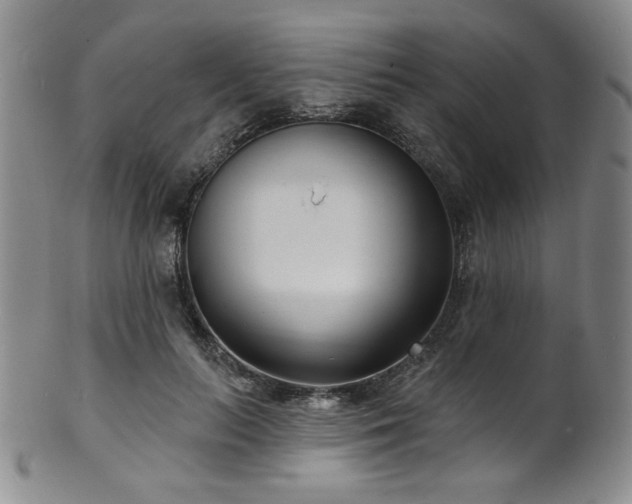 X0000101700647200807101538
