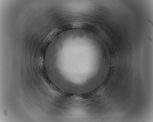X0000101700648200807101538