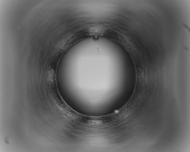 X0000101700649200807101538