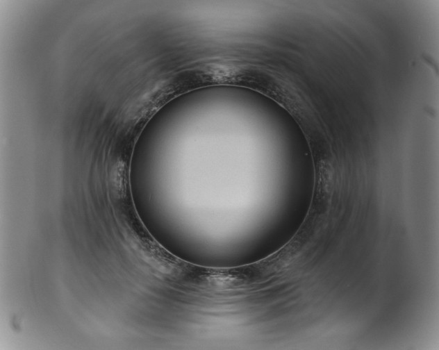 X0000101700650200807101538