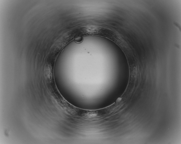 X0000101700651200807101538