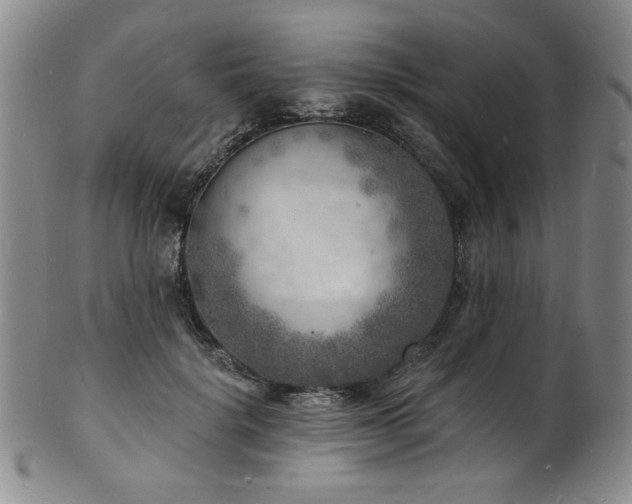 X0000101700652200807101538