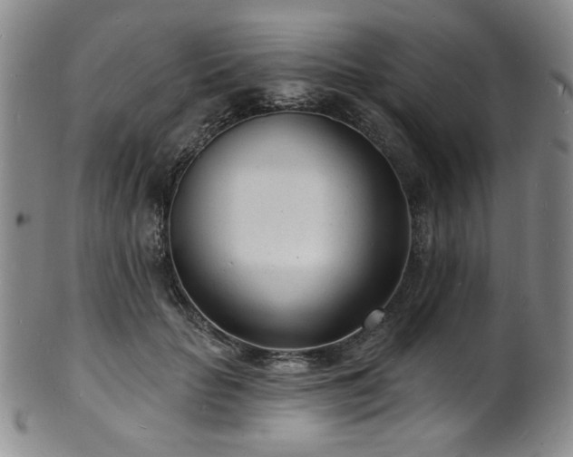 X0000101700653200807101538